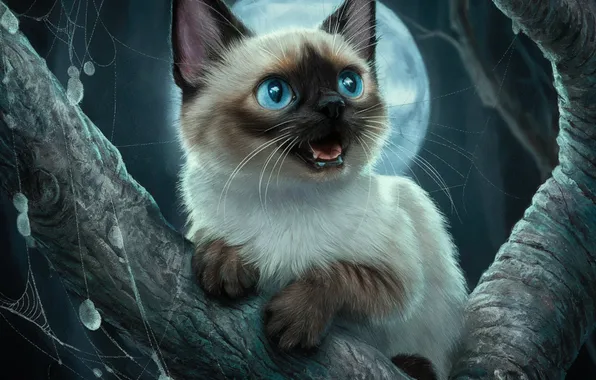 Кошка, взгляд, поза, котенок, мордашка, ИИ-арт, нейросеть