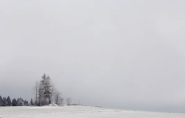 Картинка зима, поле, снег, деревья, природа, туман