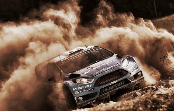 Картинка Ford, Пыль, WRC, Rally, Fiesta, RS