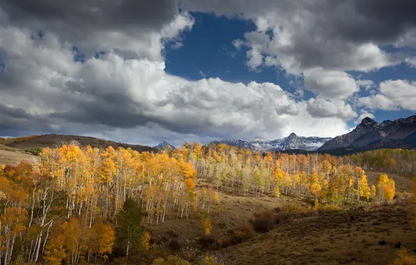 Картинка осень, деревья, горы, природа