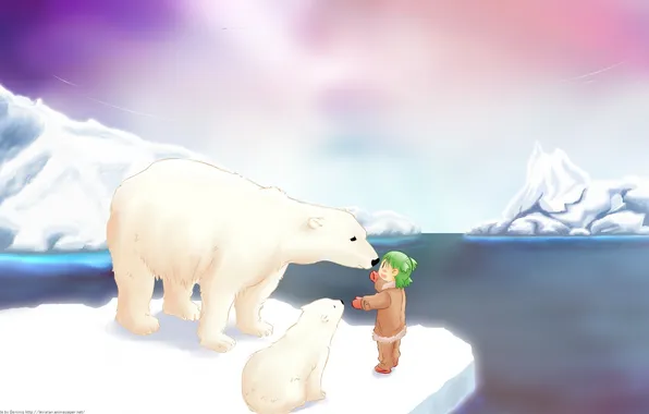 Снег, аниме, белый медведь, полюс, умка