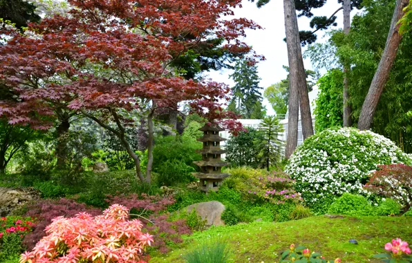 Деревья, цветы, Франция, Париж, сад, кусты, Japanese gardens, Albert-Kahn