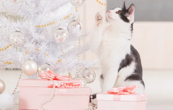 Картинка кошка, праздник, игрушки, новый год, подарки, бусы, украшение