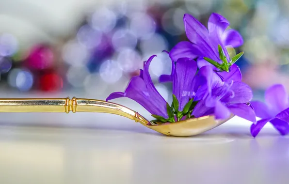 Цветы, фон, ложка, колокольчики, сиреневые, боке, композиция