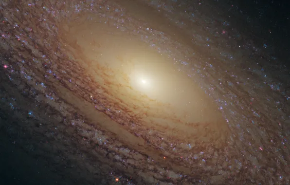 Картинка созвездие, спиральная галактика, NGC 2841, Большая Медведица.