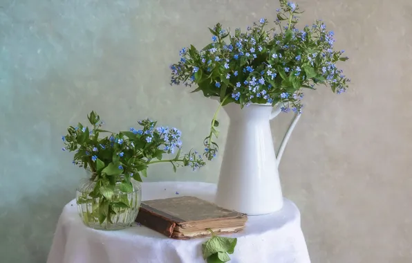 Цветы, букет, весна, голубые, книга, ваза, кувшин, натюрморт