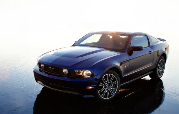 Mustang, Ford, мустанг, 2010, форд