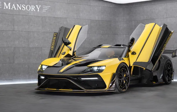 Ford, Ford GT, Mansory, American Muscle, Super Car, Under Armour, Tuning Car, Le Mansory
