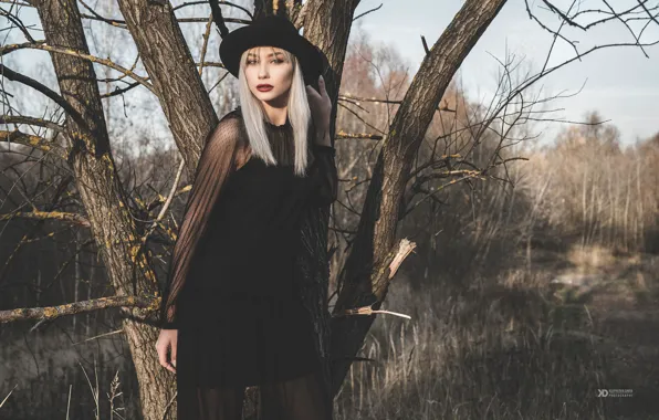 Осень, девушка, поза, стиль, дерево, платье, шляпка, Дарья Клепикова