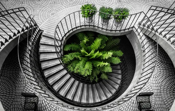 Картинка city, california, san francisco, black and white, staircase, architecture, travel, stair