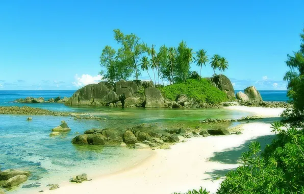 Пляж, природа, пальмы, берег, Сейшелы, экзотика, Seychelles islands