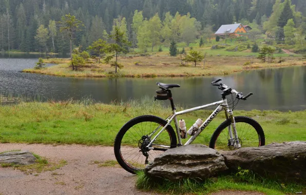 Природа, велосипед, привал, mountain bike, Šumava, malé Javorské jezero