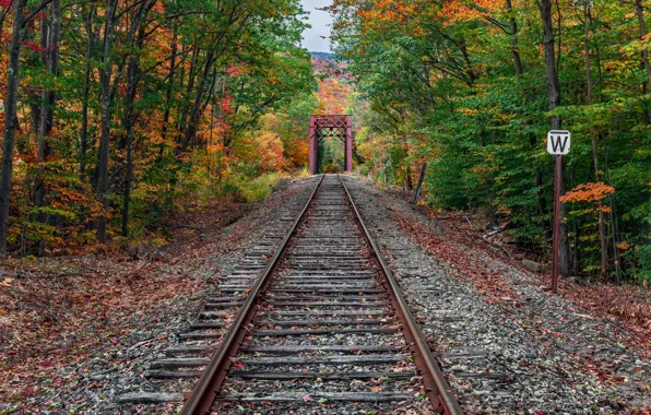 Картинка осень, лес, железная дорога