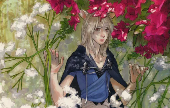 Цветы, заросли, демон, плащ, ушки, visual novel, lamento, konoe