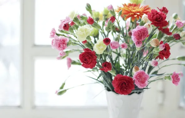 Картинка цветы, ваза, разные, гвоздики