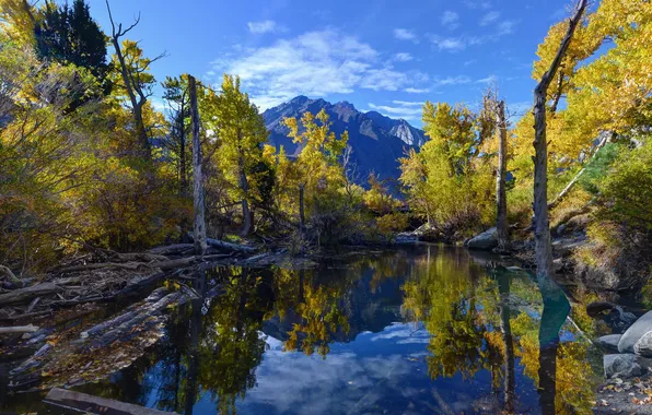 Картинка Convict Lake, Reflections, Eastern Sierra, Fall Colors