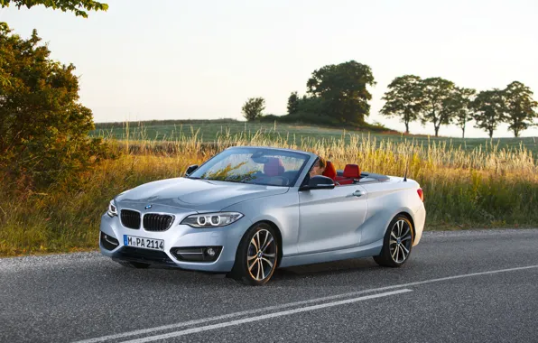 Дорога, авто, BMW, кабриолет, convertible, F23, 228i