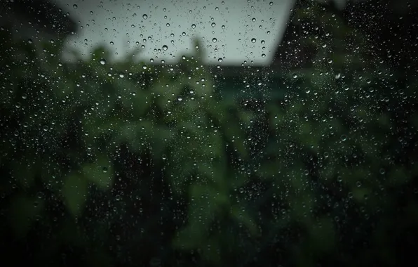 Картинка стекло, капли, макро, дождь