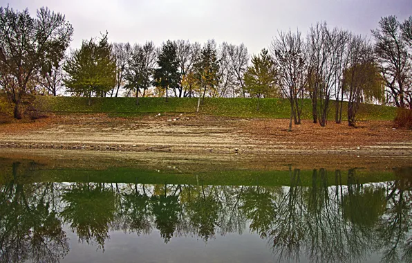 Осень, отражения, деревья, пруд, Природа, trees, nature, ряды