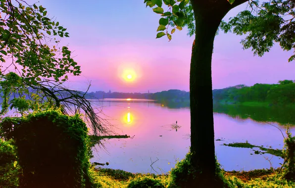 Sun, Water, Sunrise, Dawn, Morning, Lake, Trees, Reflection