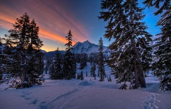 Картинка зима, пейзаж, закат