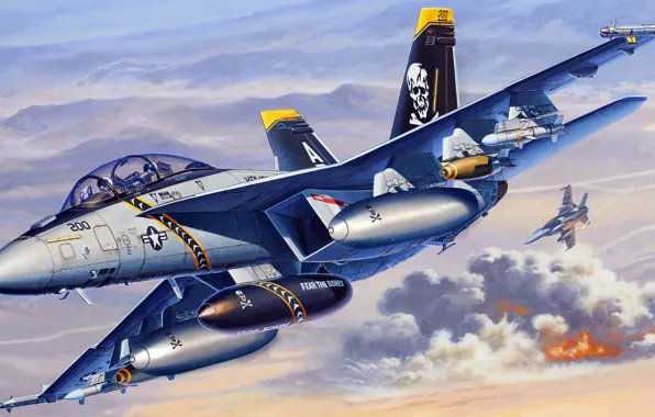 Штурмовик, Super Hornet, McDonnell Douglas, ВМС США, американский палубный истребитель-бомбардировщик, F/A-18F, дальнейшее развитие варианта F/A-18D