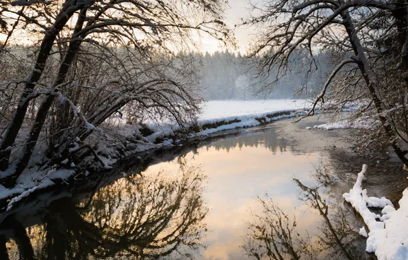 Зима, лес, снег, деревья, пейзаж, природа, река, Германия
