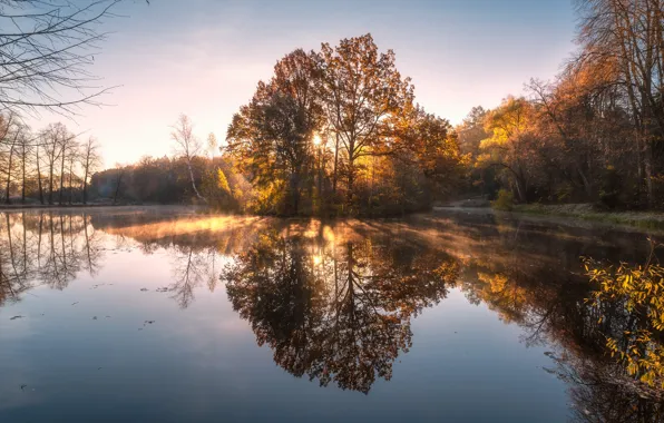 ЛЕС, ОТРАЖЕНИЕ, ВОДОЁМ, БЕРЕГ, ДЕРЕВЬЯ, РАССВЕТ, фотограф Андрей Баскевич