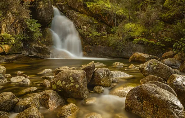 Камни, водопад, поток, Виктория, Австралия, гора Буффало