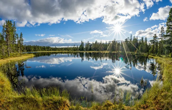 Деревья, озеро, отражение, Норвегия, солнечный день, Norway, Kjos, Telemark Fylke