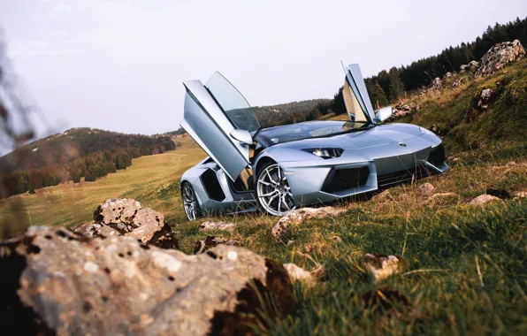 Roadster, Lamborghini, Nature, Front, LP700-4, Aventador, Supercars, Silver