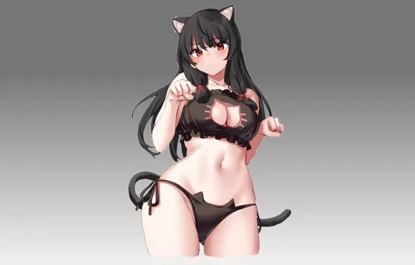 Girl, sexy, pussy, neko, anime, pretty, kitty, babe