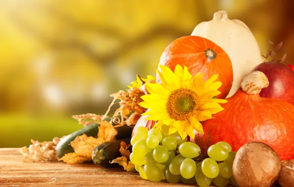 Осень, яблоки, грибы, урожай, виноград, тыква, фрукты, овощи