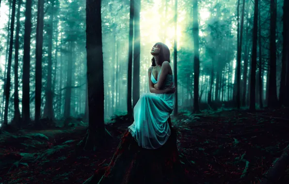 Девушка, платье, освещение, в лесу, the whispering woods