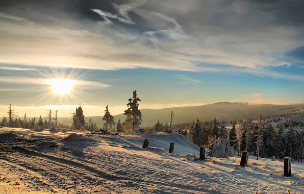 Картинка зима, лес, солнце, горы