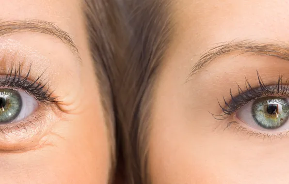 Eyes, women, adult, youth, family, old age, generic information, inheritance