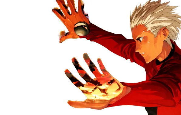 Парень, арчер, Судьба ночь схватки, Fate / Stay Night