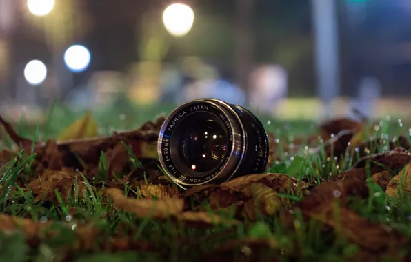 Lights, glass, grass, night, leaves, bokeh, drops, reflection