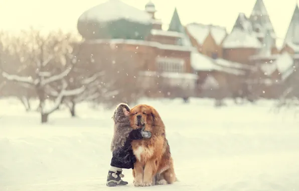 Картинка зима, снег, собака, девочка, друзья, платок, большой друг