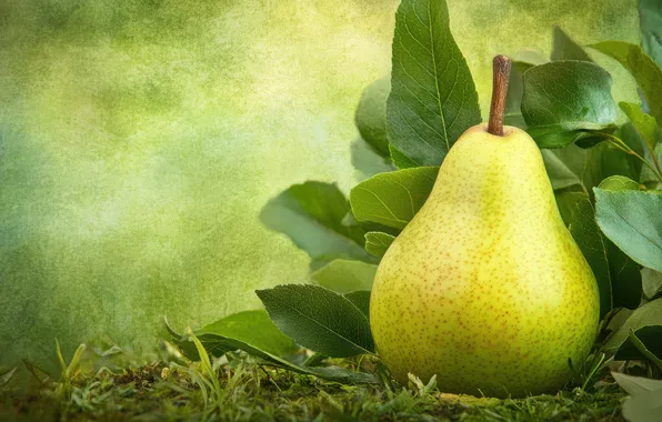 Листья, фрукт, груша, зеленая, зеленый фон, ИИ-арт, нейросеть