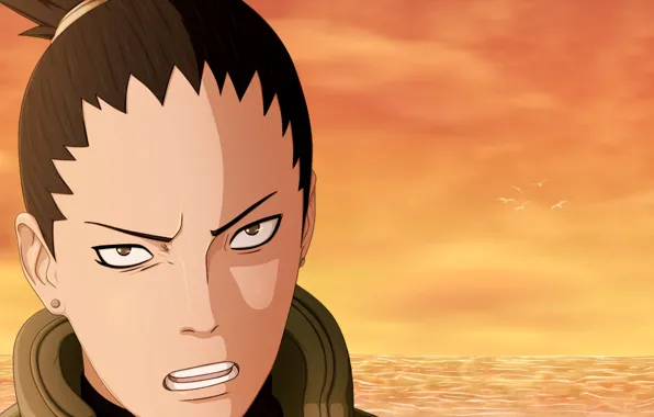 Взгляд, Naruto Shippuden, Shikamaru, Шикамару