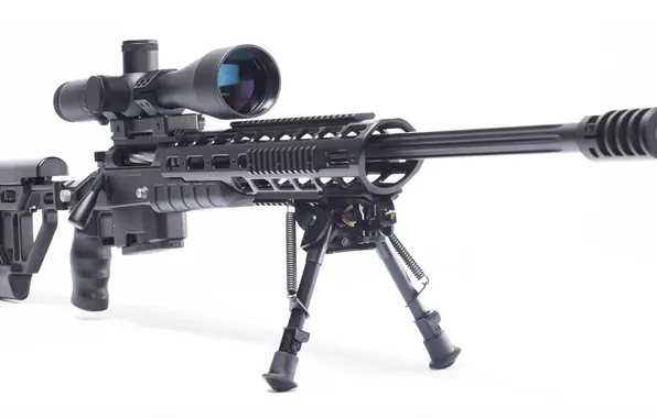 Снайперская винтовка, sniper rifle, ОРСИС Т-5000М, ORSIS T-5000M
