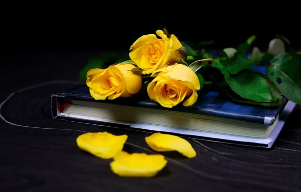 Цветы, роза, розы, букет, желтые, лепестки, книга, черный фон