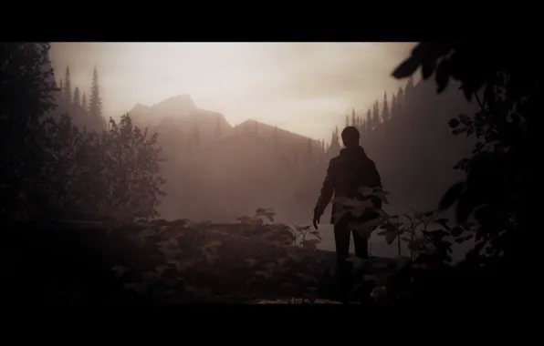 Alan Wake, Remedy, Cauldron Lake
