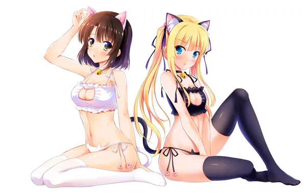 Sexy, lingerie, pantsu, bra, cleavage, panties, thighhighs, long hair