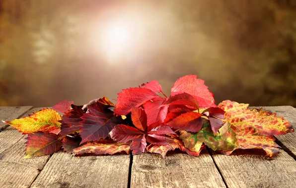 Картинка осень, листья, стол, боке