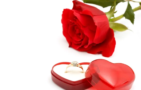 Романтика, роза, кольцо, красная, flowers, romantic, коробочка, обручальное