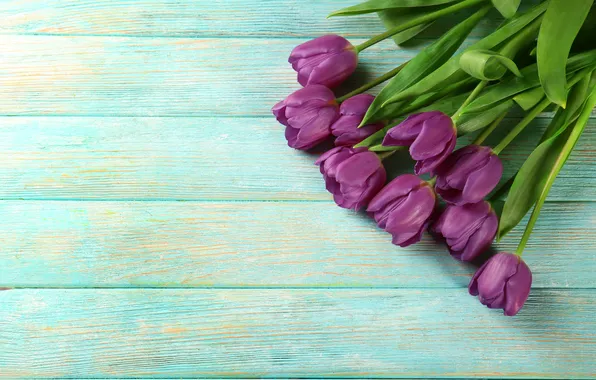 Цветы, букет, тюльпаны, wood, flowers, tulips, spring, purple