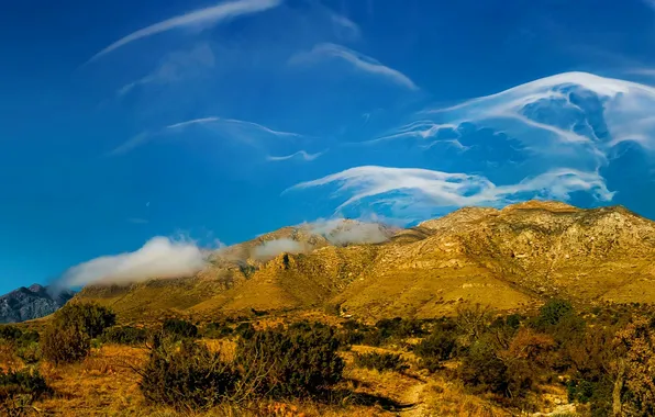 Облака, деревья, пейзаж, горы, США, Техас, Guadalupe Mountains National Park