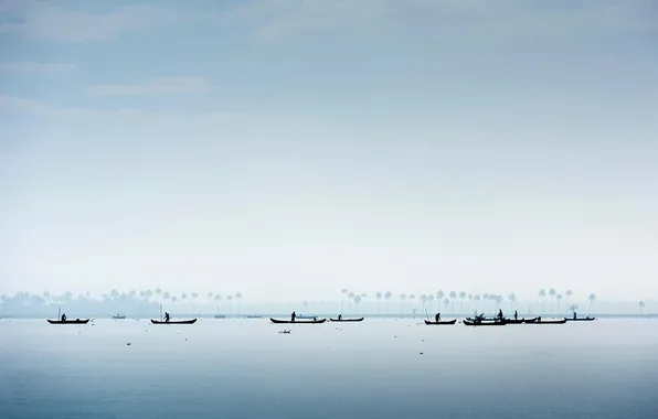 Лодка, Индия, силуэт, ловцы моллюсков, штат Керала, озеро Вембанад